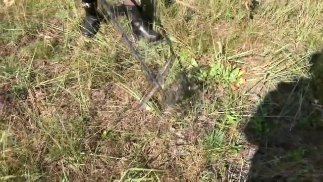 Коп 2017. Поиск монет. Копаем в деревне. Что же мы нашли с прибором АКА Сигнум MFT 7272 M смотреть онлайн