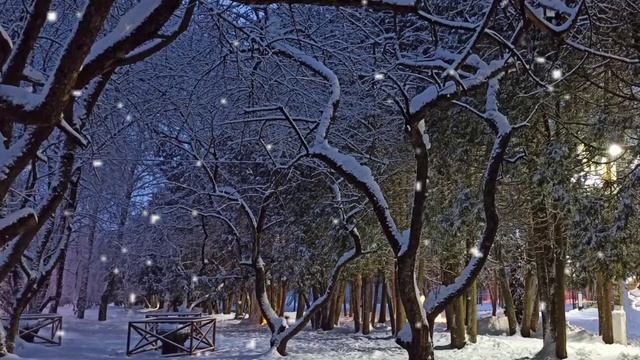 TRITSCH TRATSCH POLKA JOHANN STRAUSS. Зимняя сказка. Какой чудесный день! ля-ля! Лучшая музыка! смотреть онлайн