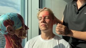 САМЫЕ ОПАСНЫЕ ЗОНЫ НА ЛИЦЕ | полное пособие по анатомии лица #анатомиялица