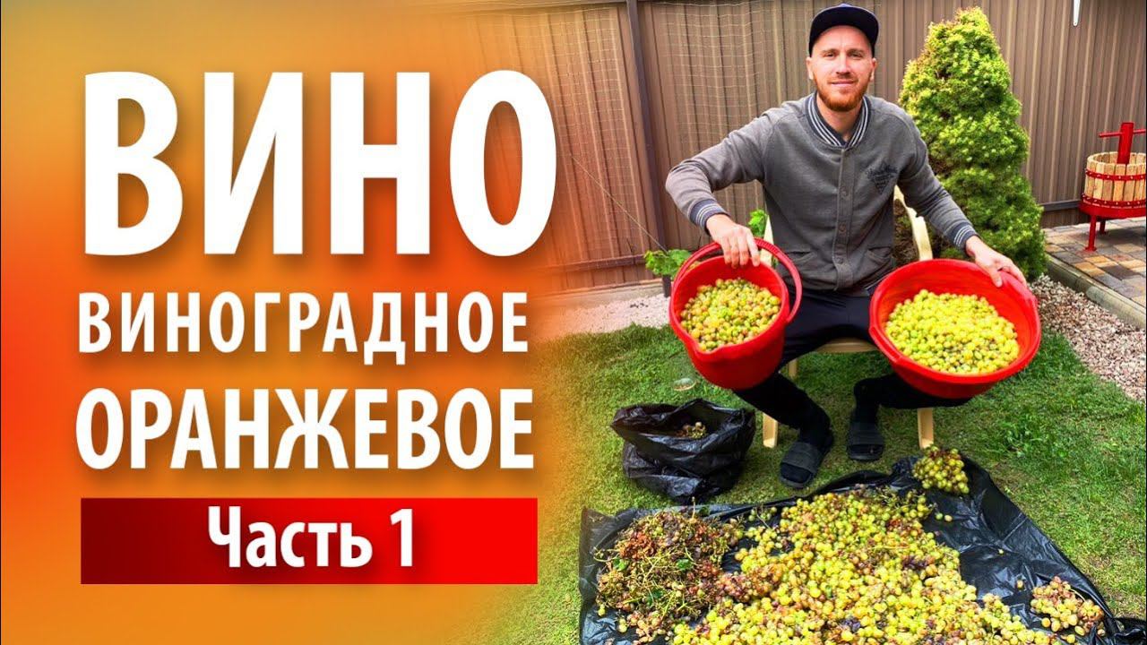 Вино «Оранжевое» из белого винограда | Часть 1 смотреть онлайн