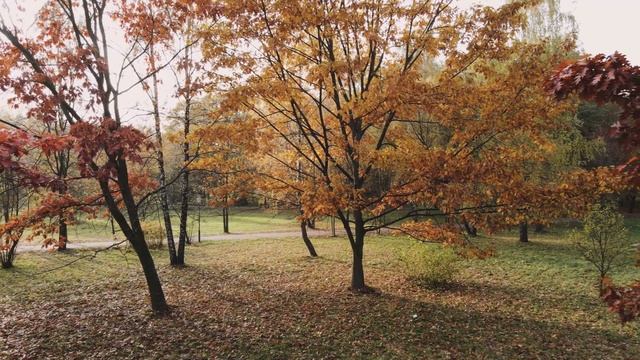 Galactic-mouth-thunderstorm