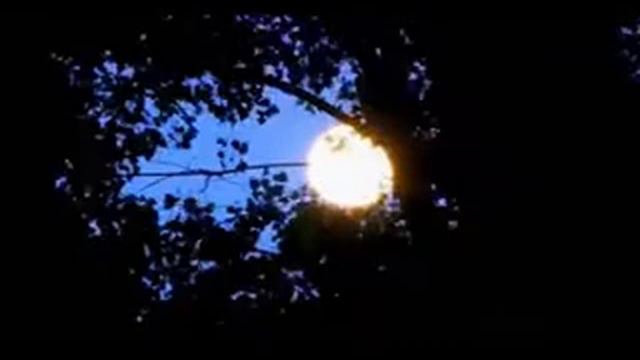 Над Заливом / Over the Bay (romance) смотреть онлайн