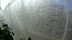 Как просто и бюджетно утеплить ТЕПЛИЦУ и создать благоприятные условия для высадки РАССАДЫ