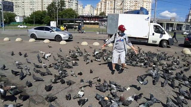 Mga Kalapati Sa Moscow, Russia /кормление голубей в москве / FoodTrip And Everything #35
