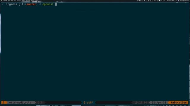 Create a Kubernetes TLS Ingress from scratch in Minikube смотреть онлайн