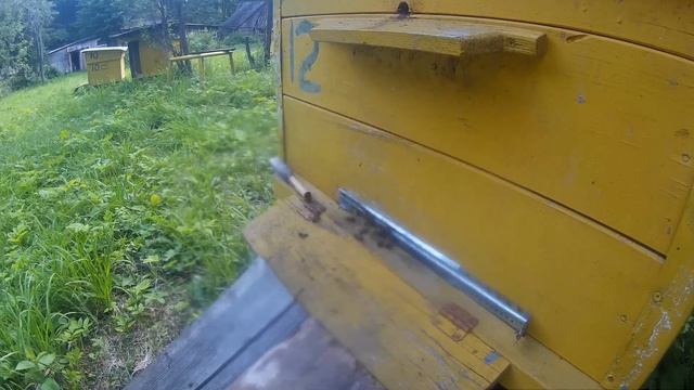 Моё пчеловодство в Удмуртии #11 смотреть онлайн