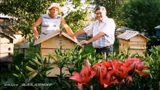 Пермский край, село БОЛЬШИЕ КУСТЫ - 2 смотреть онлайн