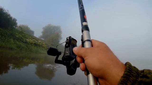 Ловля голавля на горох