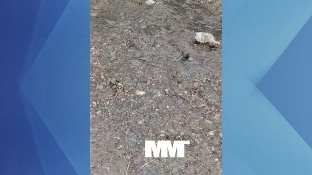 Талая вода смотреть онлайн