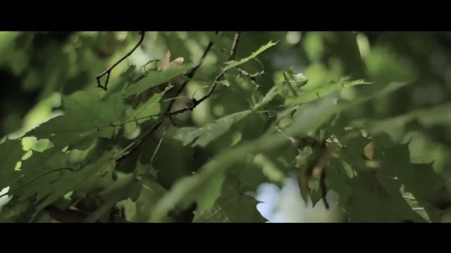 Сарапул. 5 причин посетить город смотреть онлайн