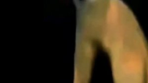 Мем из 2026 года но более милая и добрая версия...