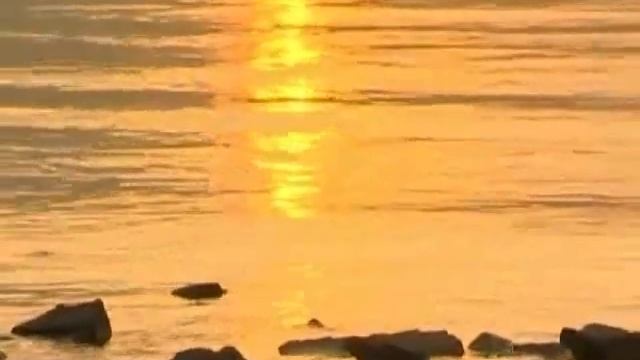 Turan Do film GM Suleyman Mammadli. Part 3 смотреть онлайн