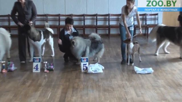 Лучший юниор смотреть онлайн