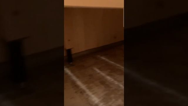 Отделка парной в Калининграде