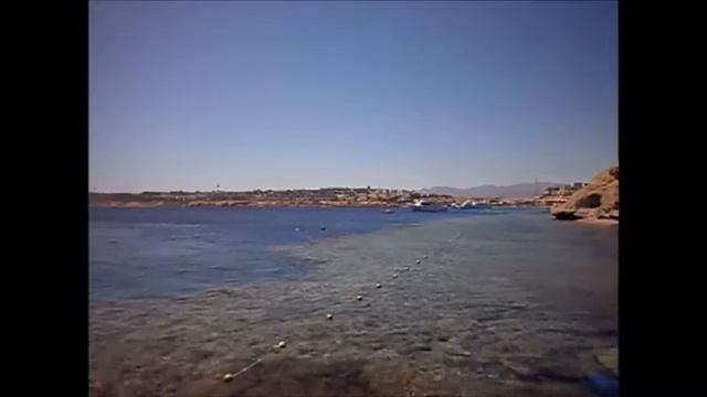 Grand Oasis Resort 4*  Пляж  понтон и море отеля