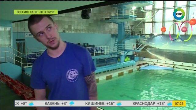 Проверено на себе: профессия Дрессировщик дельфинов. смотреть онлайн