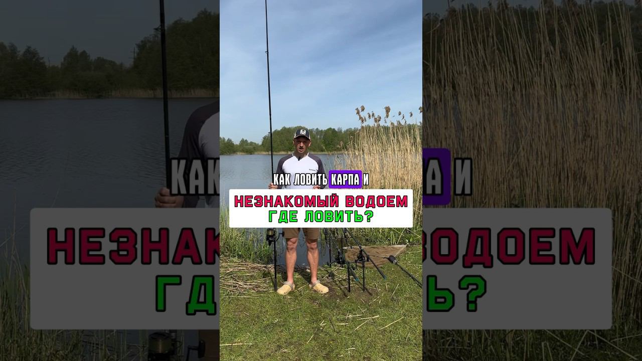 Где ловить карпа и сазана на незнакомом водоёме? #карпфишинг смотреть онлайн