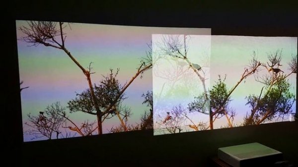 Проекторы Xgimi H1 и Xiaomi Mi Laser Projector.