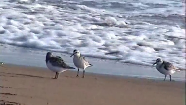 VTS_01_2 смотреть онлайн