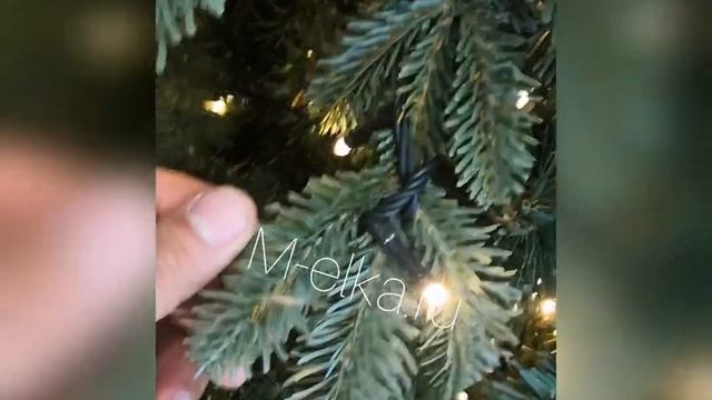 Ель Барокко от компании Green Trees смотреть онлайн