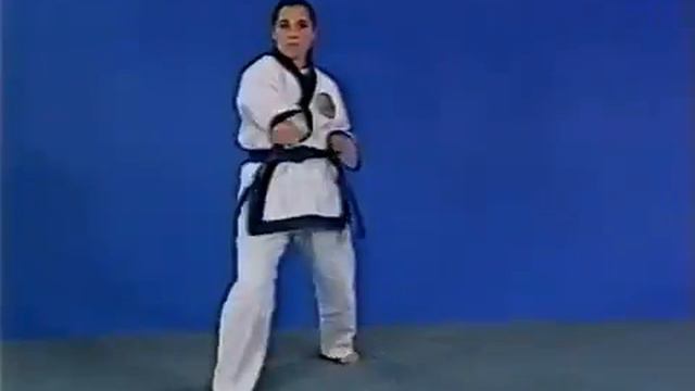 Тансудо - 25 боевых комбинаций и базовые формы. Ч 2 и 3 смотреть онлайн