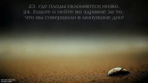 Мешари Альбагли [Meshari Albaghli]. Сура Аль-Хакка [Неминуемое].