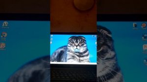 Решено!Что делать,если пишет"Вставте диск в устройство USB накопитель"