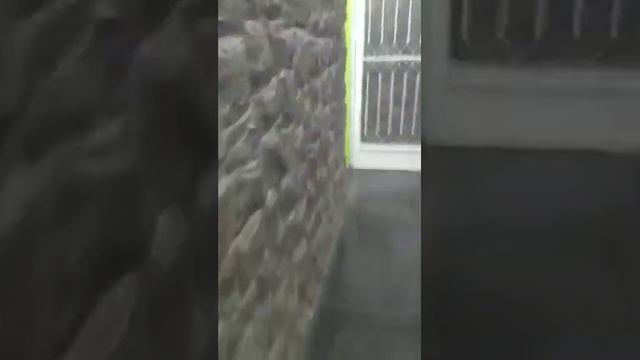 covardia no CRAS de morro azul em Eng Paulo de Frontin. смотреть онлайн