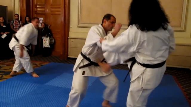 Karate demonstration "Ronin" смотреть онлайн