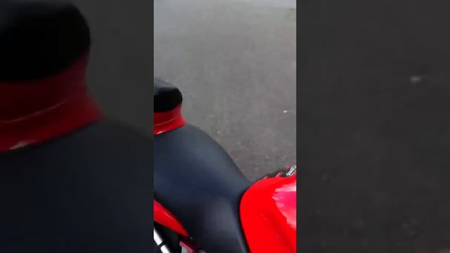 Suzuki TL1000S смотреть онлайн
