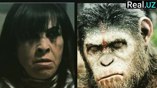 HOVLI Serialidan kamera orti suratlari #Denis #Azra #Zerrin #Kudret #Xovli132 #Hovli132 #hovlifinal смотреть онлайн