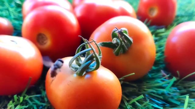 Снижение холестерина: топ-10 продуктов очищающие сосуды, список рекомендации смотреть онлайн