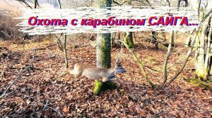 Охота на кабана и косулю с карабином САЙГА / 7.62х39 ; 5.45х39 ; 366 ткм