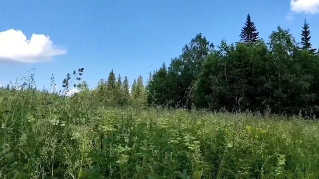 Россия, Челябинская область, Национальный парк 