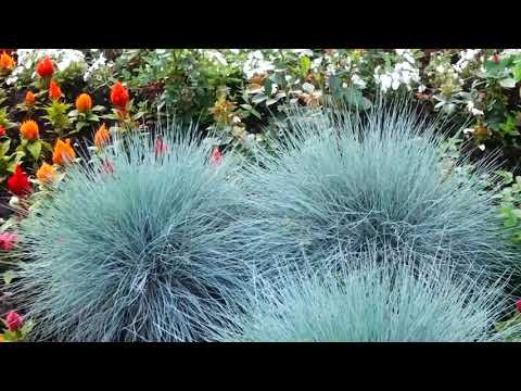 2023.07 Курорт Новая Истра. Амакс. Прогулка по территории