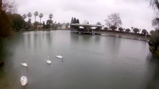 Сочи - Красная поляна. Январь 2018 смотреть онлайн