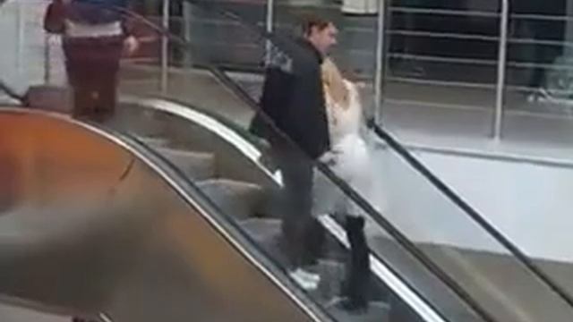 A cvet volos prosto sovpadenie 240 смотреть онлайн