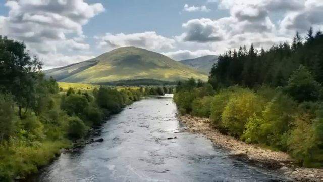 Бывшая свекровь пригласила невестку в гости, но узнав о её просьбе... смотреть онлайн