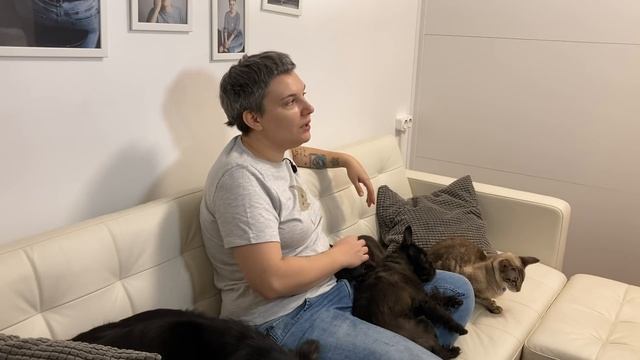 Что случилось, Усы? Как ухаживать за собачьей шерстью смотреть онлайн