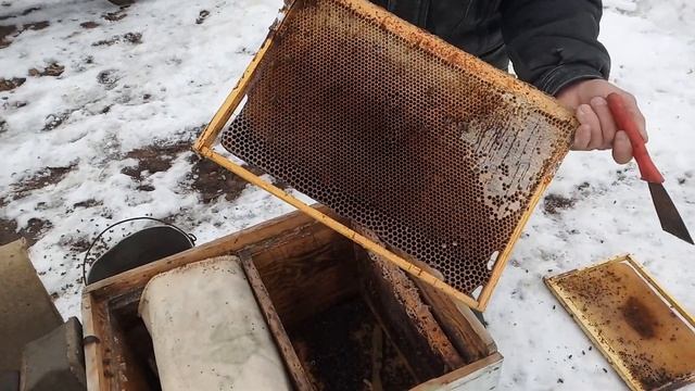 VID Первый быстрый осмотр семей в МАРТЕ 2020 года, при температуре МИНУС 1 смотреть онлайн