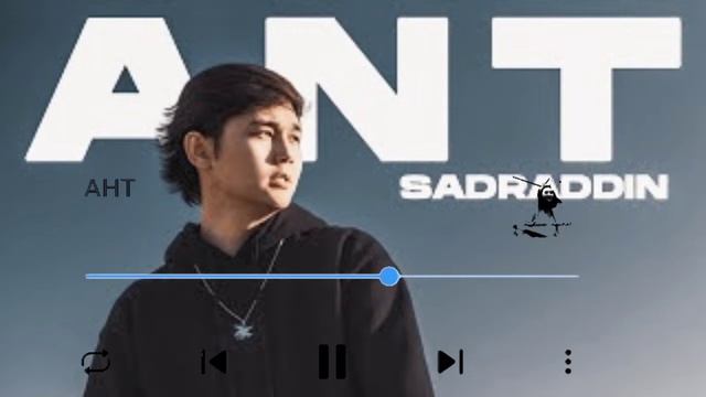 SADRADDIN-АНТ