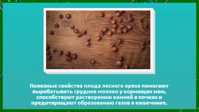 Фундук - польза и кому нельзя смотреть онлайн