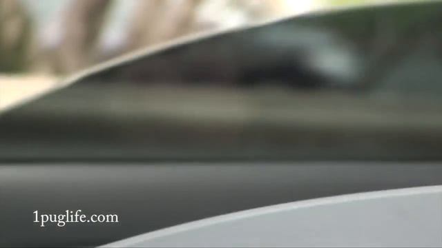 dont get caught texting! смотреть онлайн