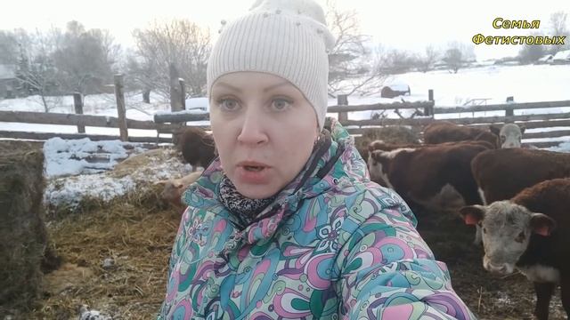 Чем занимаемся? Кто из нас работает?/ Семья Фетистовых смотреть онлайн