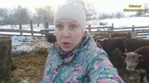 Чем занимаемся? Кто из нас работает?/ Семья Фетистовых