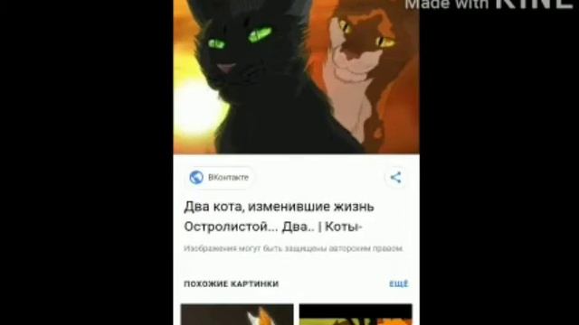 Клип про Котов Воителей. смотреть онлайн