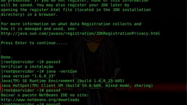 Instalando o Java e NetBeans IDE no Linux Fedora CentOS смотреть онлайн