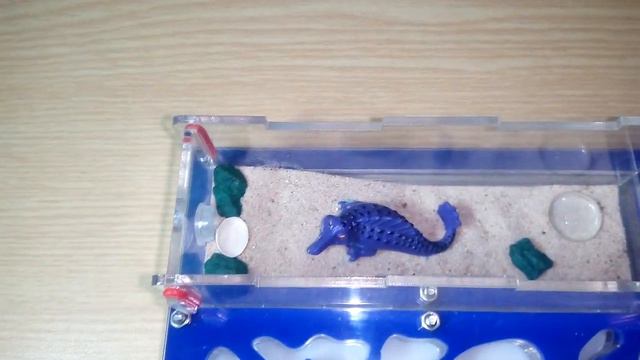 Как живут мои муравьи?#LasiusNiger# смотреть онлайн