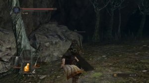 Dark Souls 2 прохождение (Часть 9 Роща охотника)