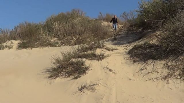 Раймонд Паулс - Музыка из к/ф "Долгая дорога в дюнах" смотреть онлайн